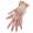 GLOVES - 100 Disposable Clear PE Food Handling Gloves
