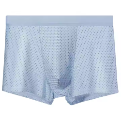 Mens Ice Silk Mesh Briefs