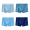 Mens Ice Silk Mesh Briefs