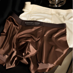 mens underwear (1pc)