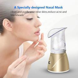 Portable Facial Steamer
