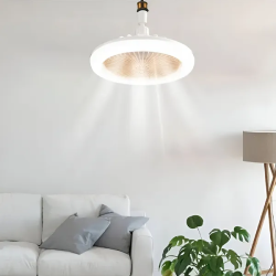 Ceiling fan with LED lighting